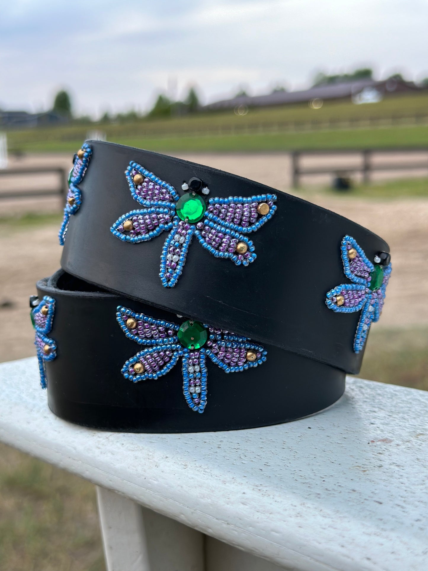 Luxe Lucky Insects Wide Zinj Belt